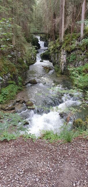 Tag 4: und immer noch sprudelt das Wasser | Foto: privat Sibylle Tröber