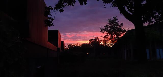 Tag 1: ganz früh am Morgen | Foto: privat Sibylle Tröber