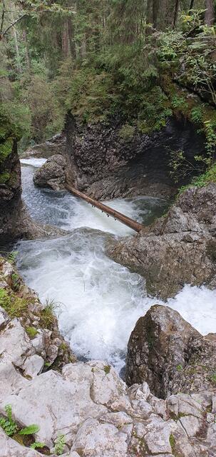 Tag 4: der Schwarzwasserbach | Foto: privat Sibylle Tröber