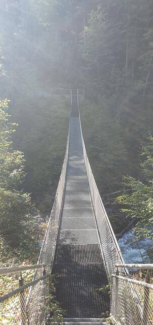 Tag 4: Seilhängebrücke von Riezlern nach Egg | Foto: privat Sibylle Tröber