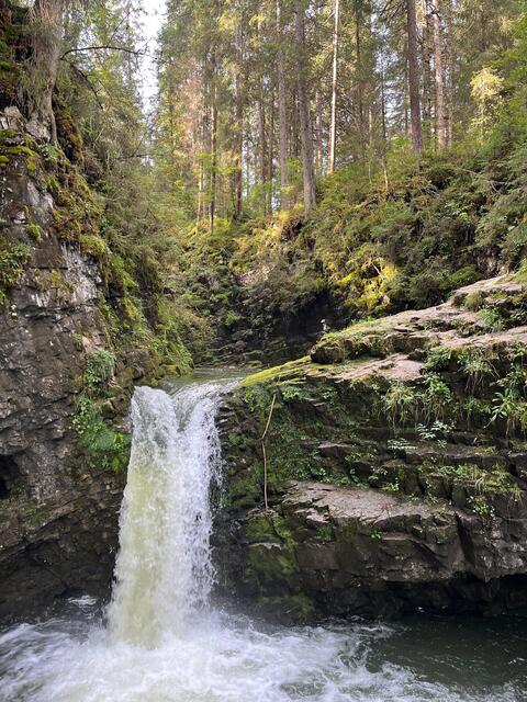 Tag 4: der Schwarzwasserbach | Foto: privat Sibylle Tröber