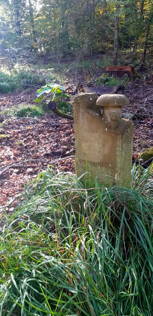 Doch auf das Wirken der Frau Rosenauer weißt auch ein Gedenkstein hin | Foto: WandernGabyErich