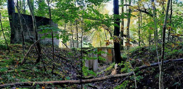Lost Place - Alte Schießbahnen | Foto: WandernGabyErich