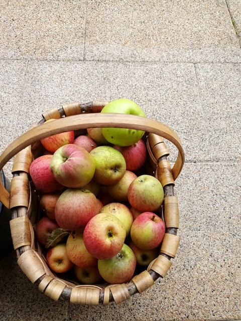 Herbst | Foto: WandernGabyErich