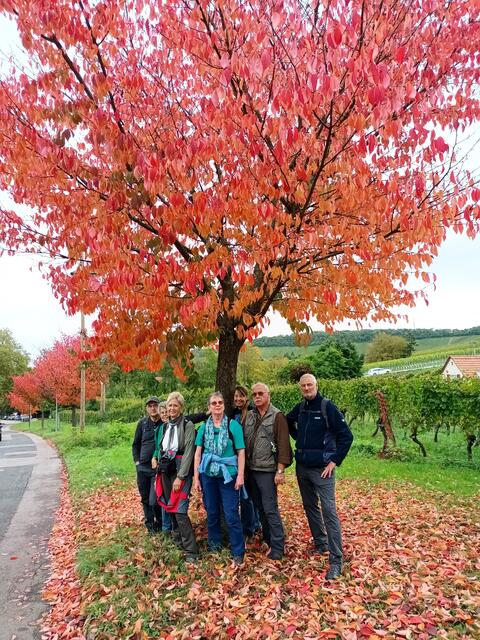 Frühling und Herbst, die schönsten Wanderzeiten | Foto: WandernGabyErich