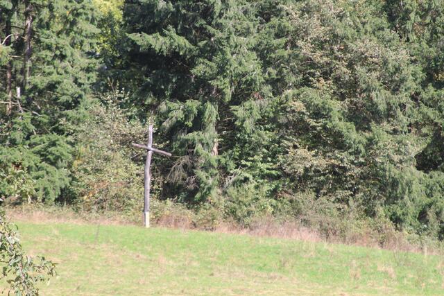 tja | Foto: Ralf Röser