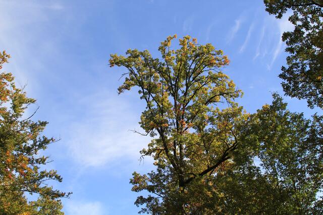 oben | Foto: Ralf Röser