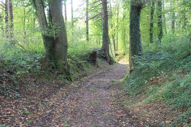 und weiter | Foto: Ralf Röser