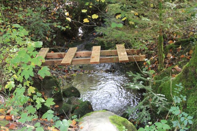 hihi | Foto: Ralf Röser