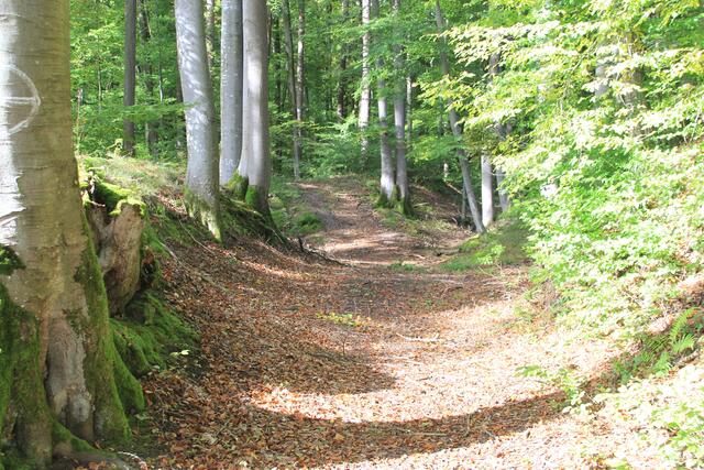 alte Wege | Foto: Ralf Röser