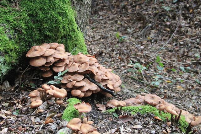 wow | Foto: Ralf Röser