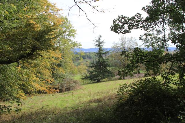 Ausblick | Foto: Ralf Röser