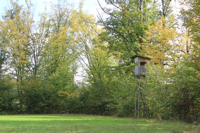 schee | Foto: Ralf Röser