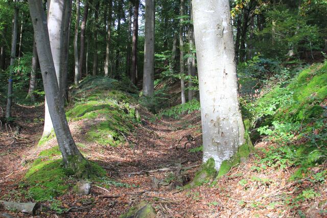 alte Wege | Foto: Ralf Röser