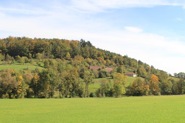 Ausblick | Foto: Ralf Röser