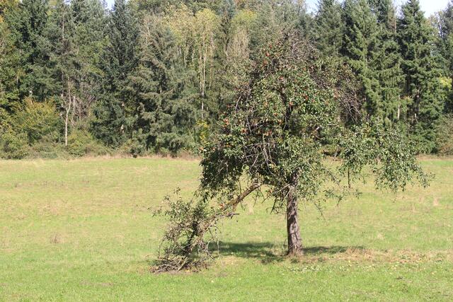 und weiter | Foto: Ralf Röser