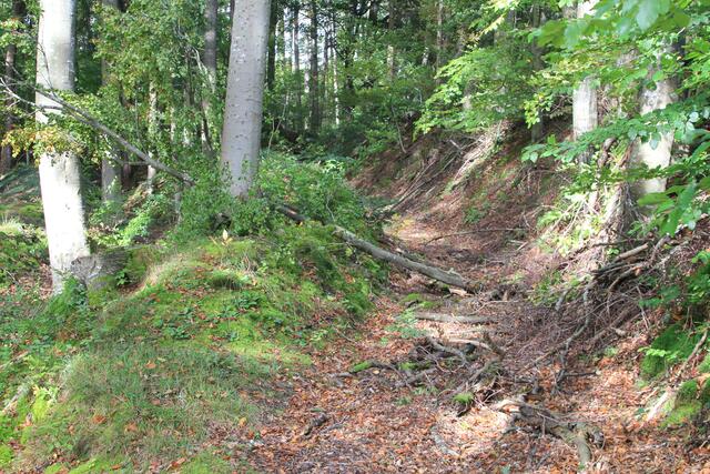 alte Wege | Foto: Ralf Röser