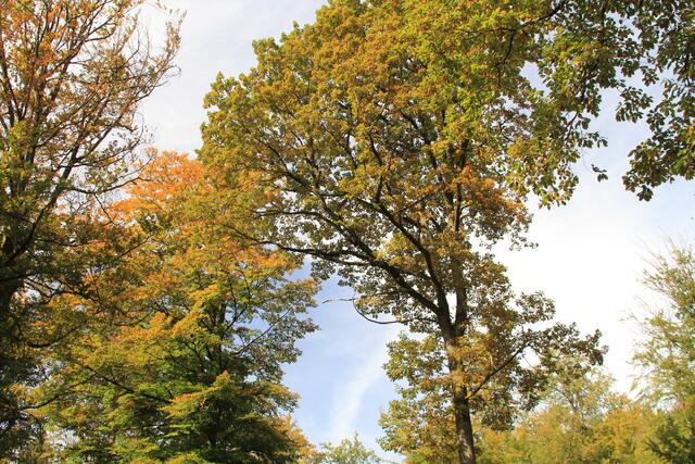 oben | Foto: Ralf Röser