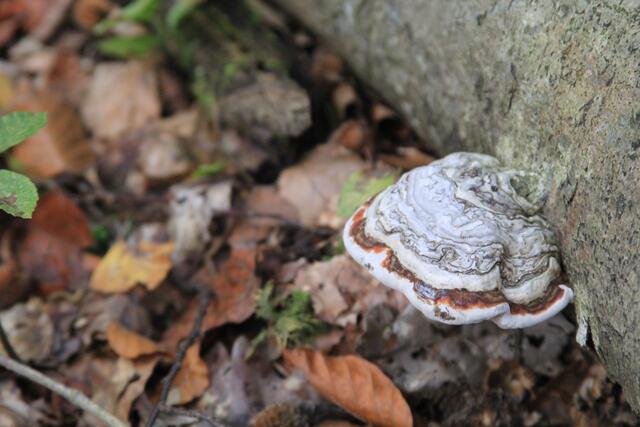 cool | Foto: Ralf Röser