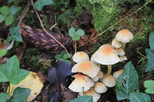 einfach schön | Foto: Ralf Röser