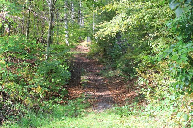 cool | Foto: Ralf Röser