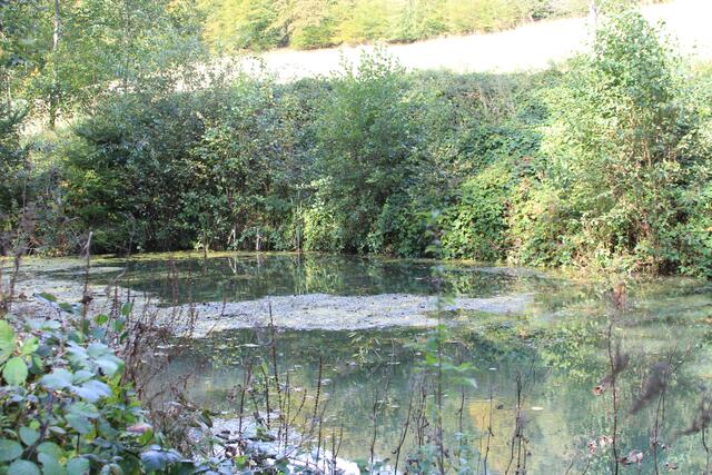 schee | Foto: Ralf Röser