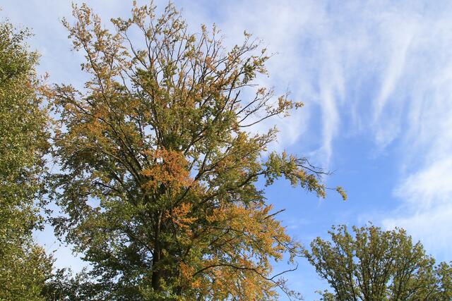 oben | Foto: Ralf Röser