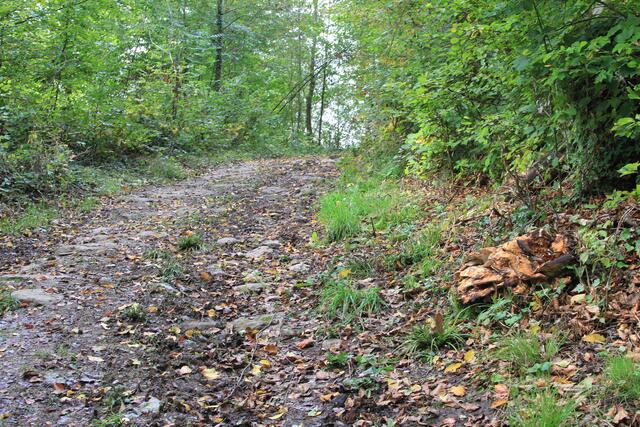 Blick zurück | Foto: Ralf Röser