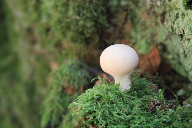 einfach schön | Foto: Ralf Röser