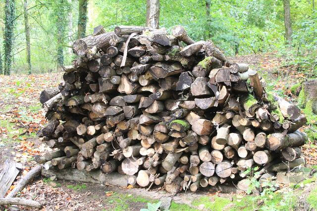 zum abholen bereit | Foto: Ralf Röser