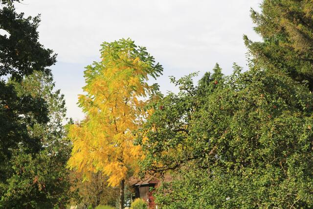 wow | Foto: Ralf Röser