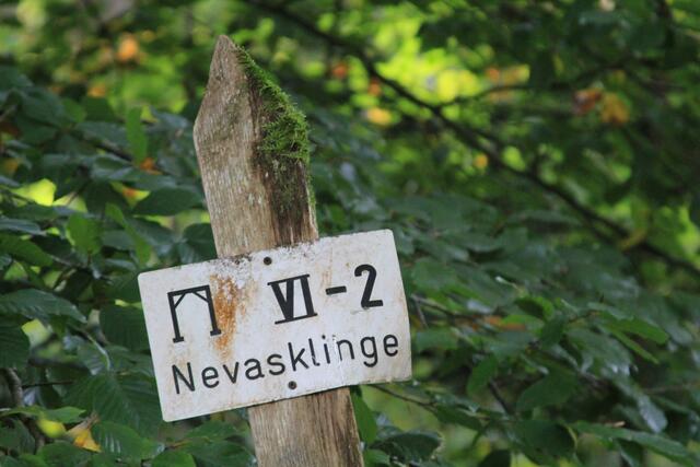 Info | Foto: Ralf Röser