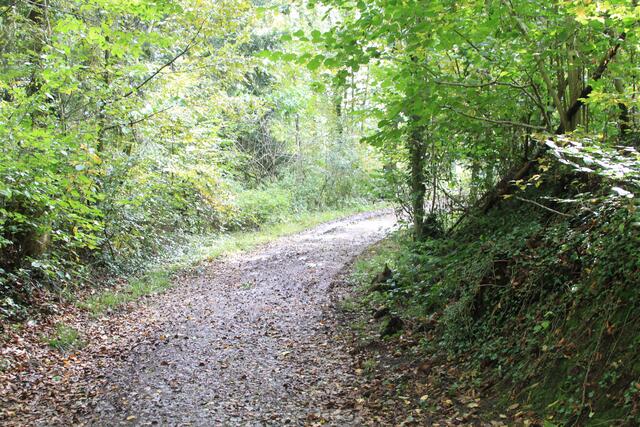 und weiter | Foto: Ralf Röser