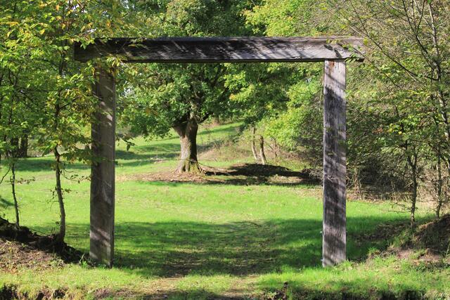 schee | Foto: Ralf Röser