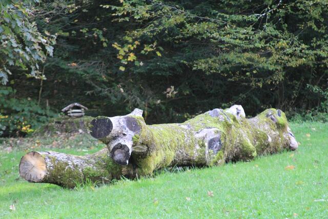 wow | Foto: Ralf Röser