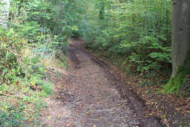 da wieder runter | Foto: Ralf Röser