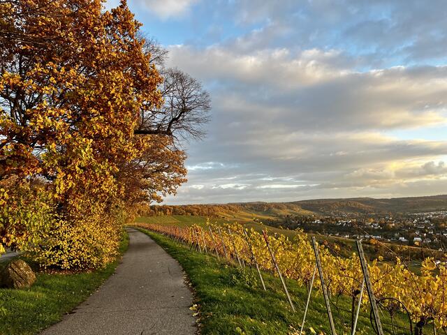 Wartberg Heilbronn | Foto: Moni Bordt