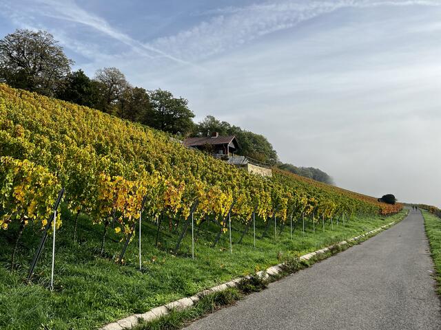 Wartberg Heilbronn | Foto: Moni Bordt
