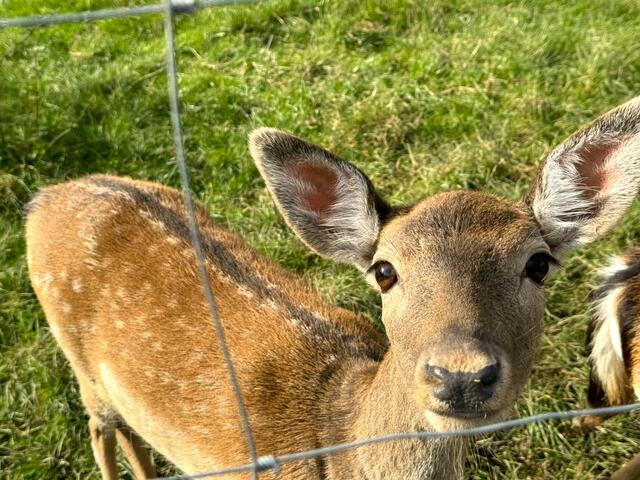 Foto: Heide Böllinger aus Bad Friedrichshall