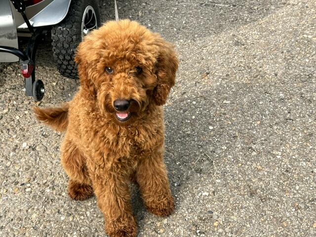 Foto: Heide Böllinger aus Bad Friedrichshall