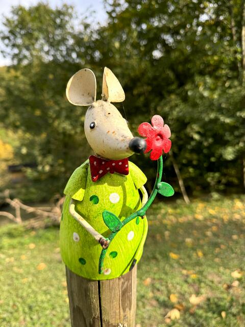 Foto: Heide Böllinger aus Bad Friedrichshall