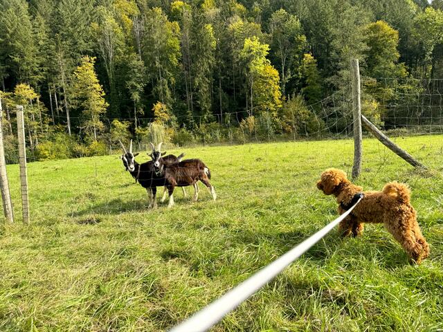 Foto: Heide Böllinger aus Bad Friedrichshall