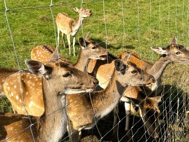 Foto: Heide Böllinger aus Bad Friedrichshall