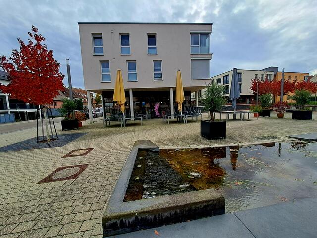 Foto: Eduard Warenik