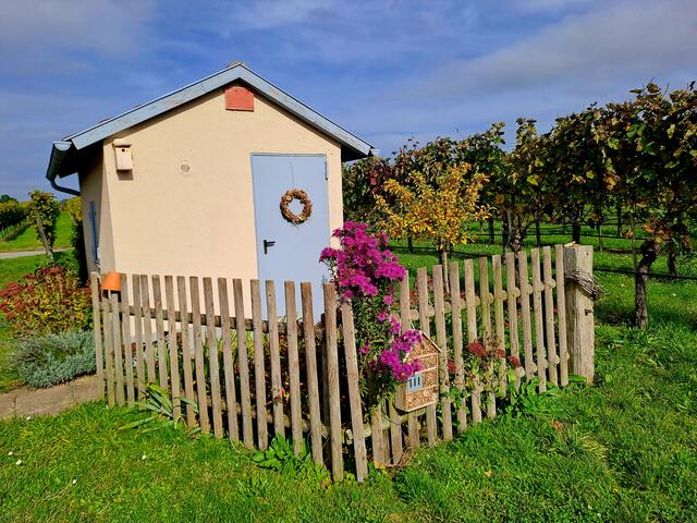 Foto: Eduard Warenik