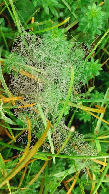 Der Herbst ist die schönste Jahreszeit🍂🍁🌰😍 | Foto: Ralf Röser
