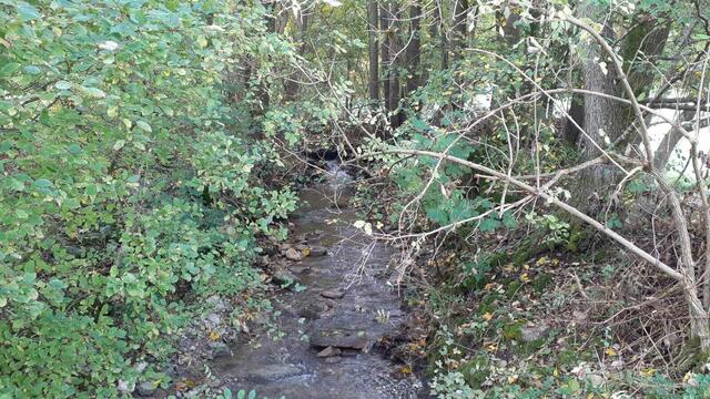 Der Herbst ist die schönste Jahreszeit🍂🍁🌰😍 | Foto: Ralf Röser