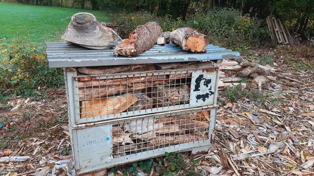 Der Herbst ist die schönste Jahreszeit🍂🍁🌰😍 | Foto: Ralf Röser