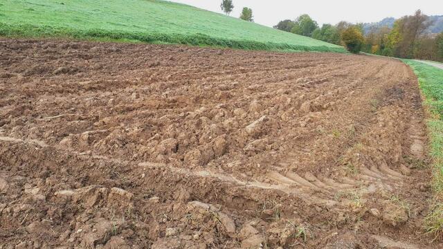 Der Herbst ist die schönste Jahreszeit🍂🍁🌰😍 | Foto: Ralf Röser