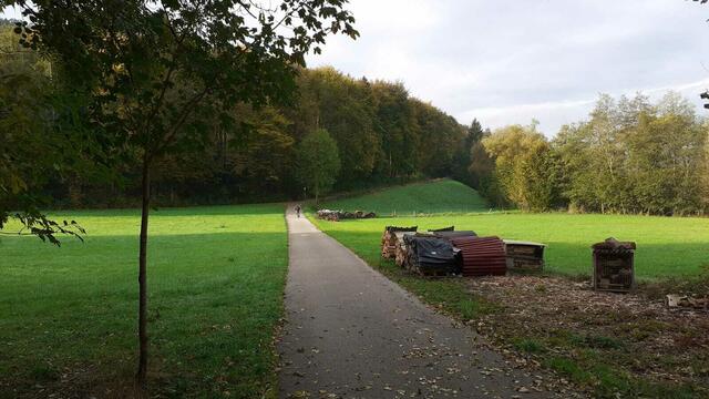 Der Herbst ist die schönste Jahreszeit🍂🍁🌰😍 | Foto: Ralf Röser